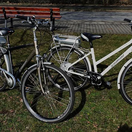 Tukan Laubegast Wlan Tv Ebike Apartamento